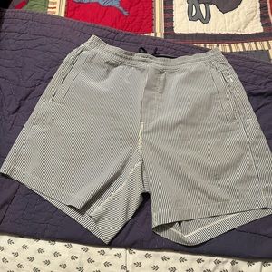 Bird dogs Sear sucker Shorts Large